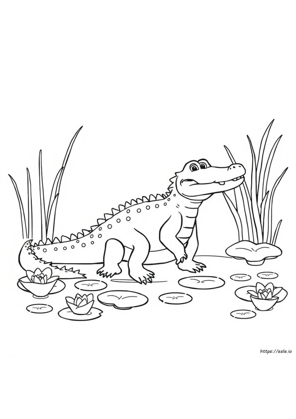 Aligator Coloring Page