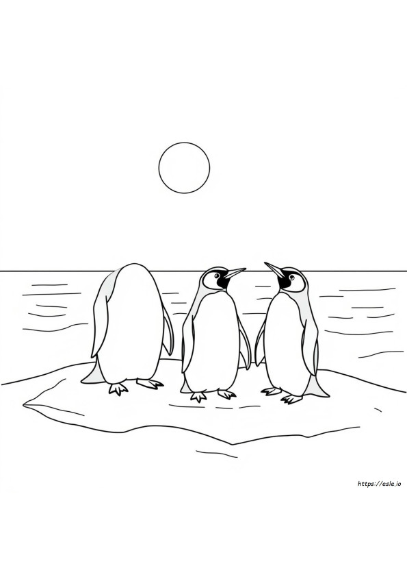 Gambar Mewarnai Pinguin Raja