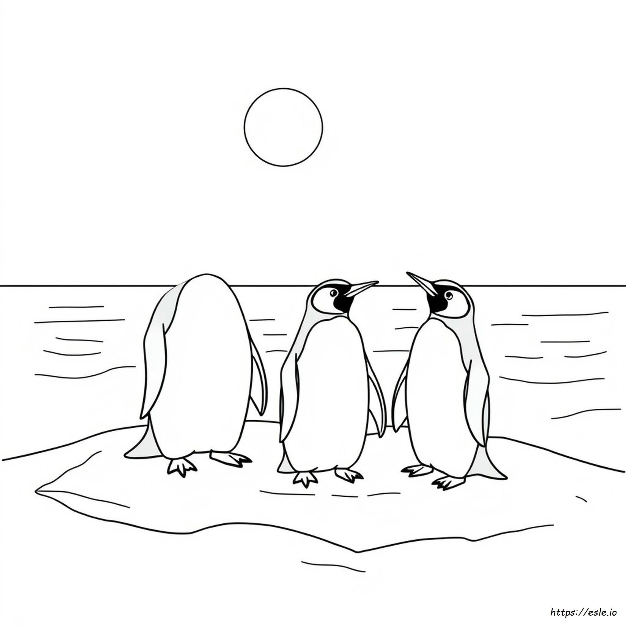 King Penguin Coloring Page