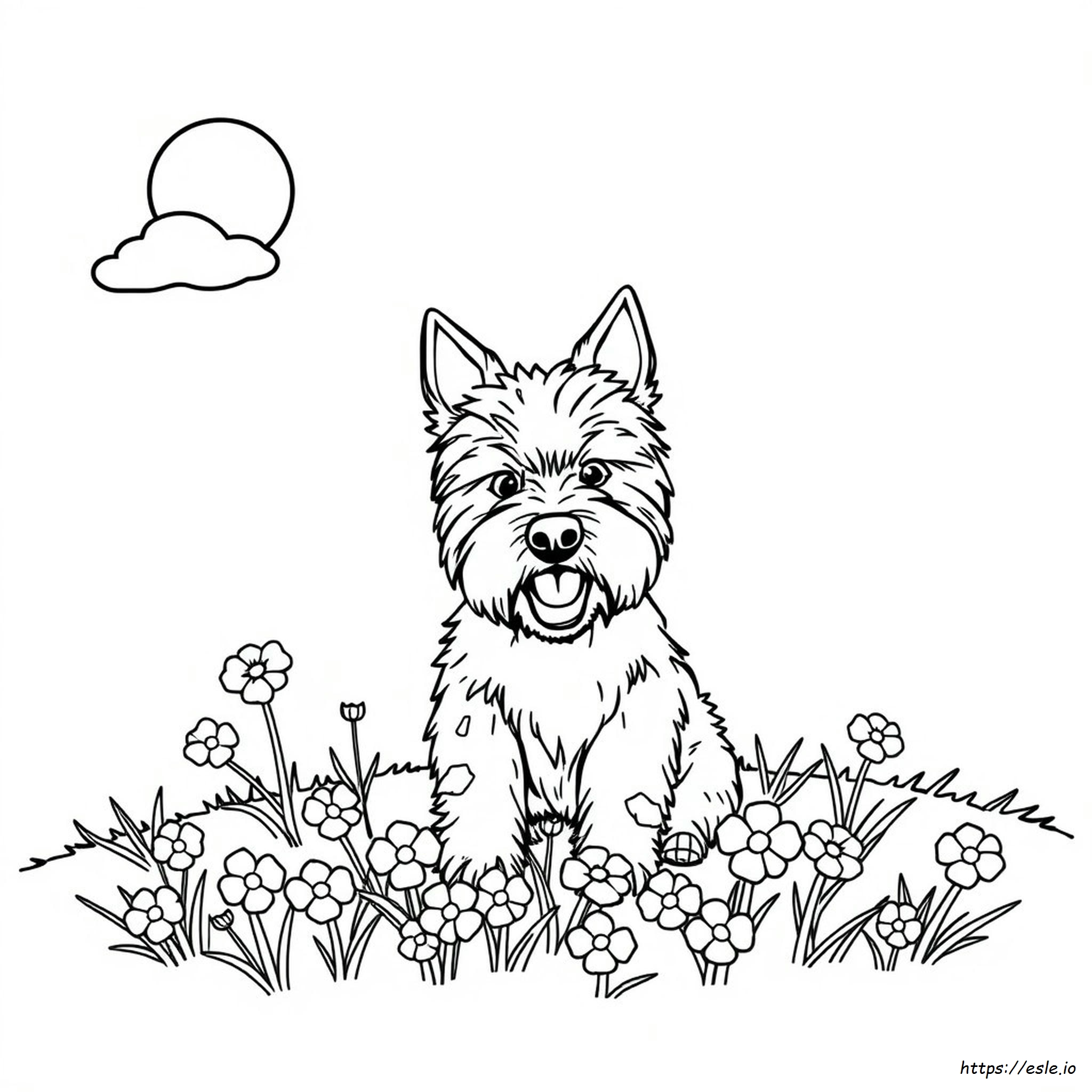 Westie Para Colorear