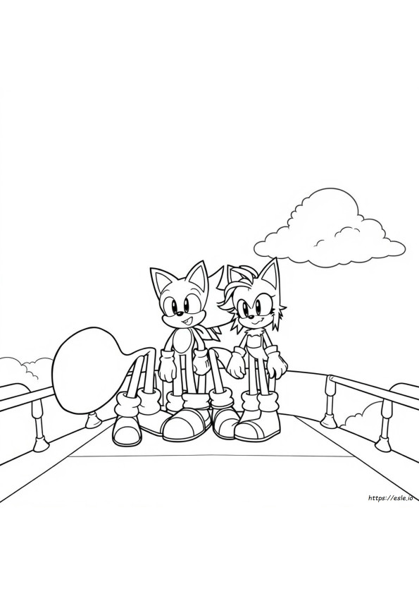 Sonic Shadow And Amy Coloring Pages