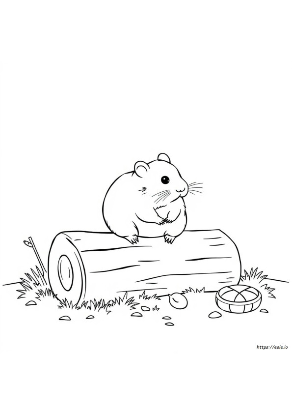Gambar Mewarnai Hamster Asli