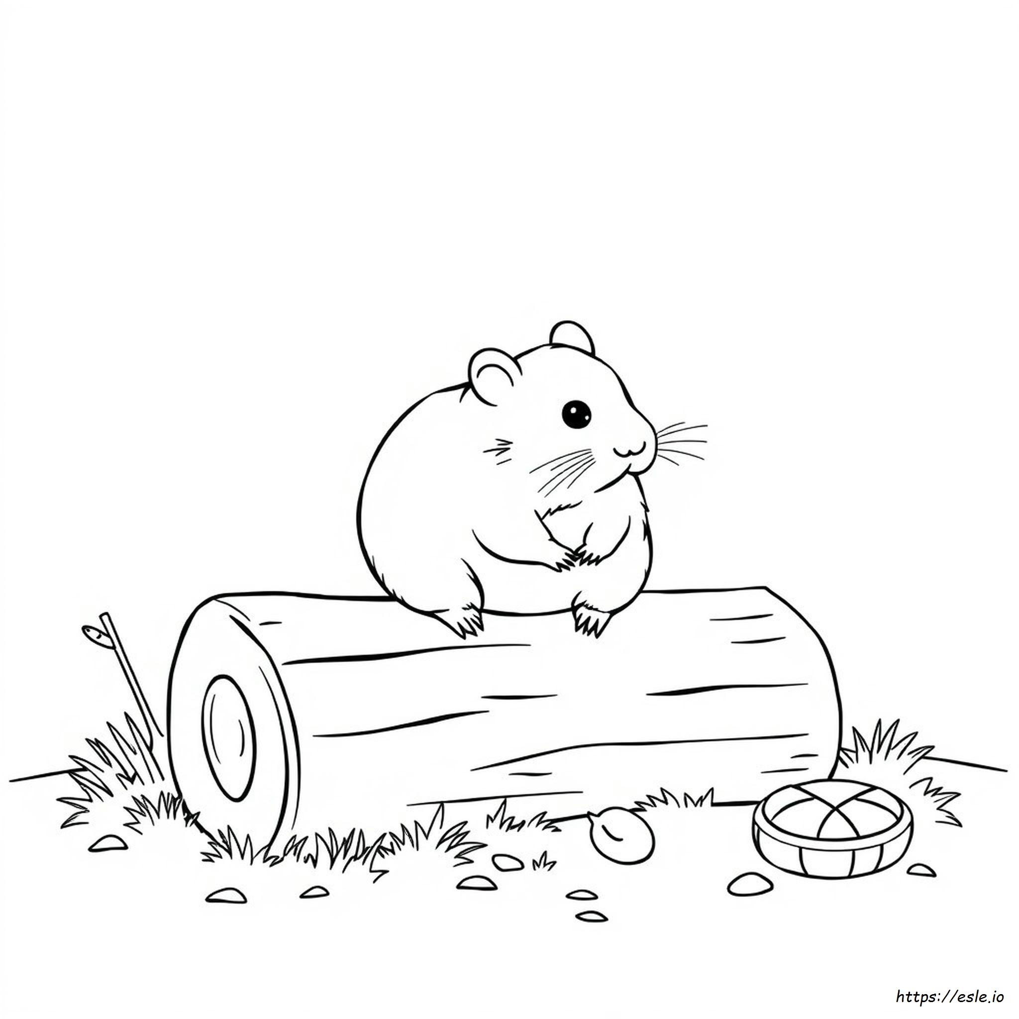 Real Hamster Coloring Pages