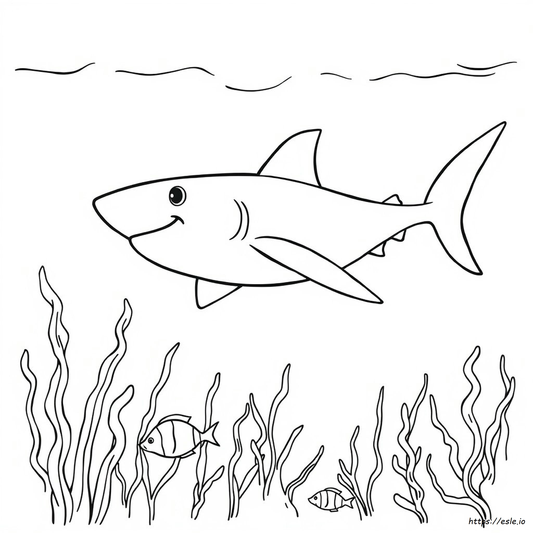 Shark Coloring Pictures