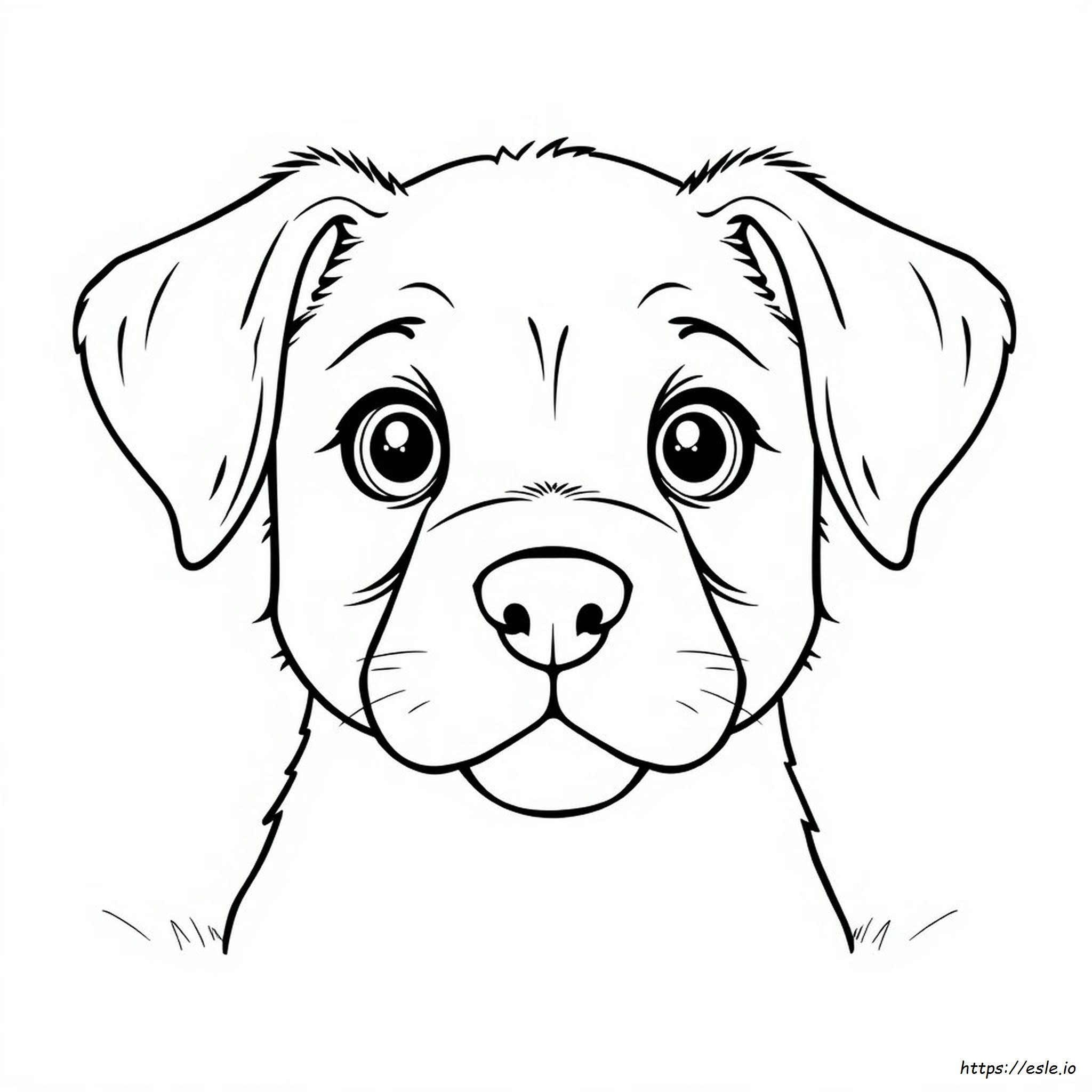 Puppy Face Coloring Page