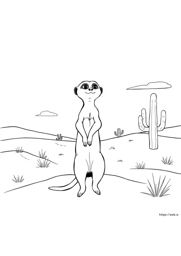 Erdmännchen Ausmalbilder