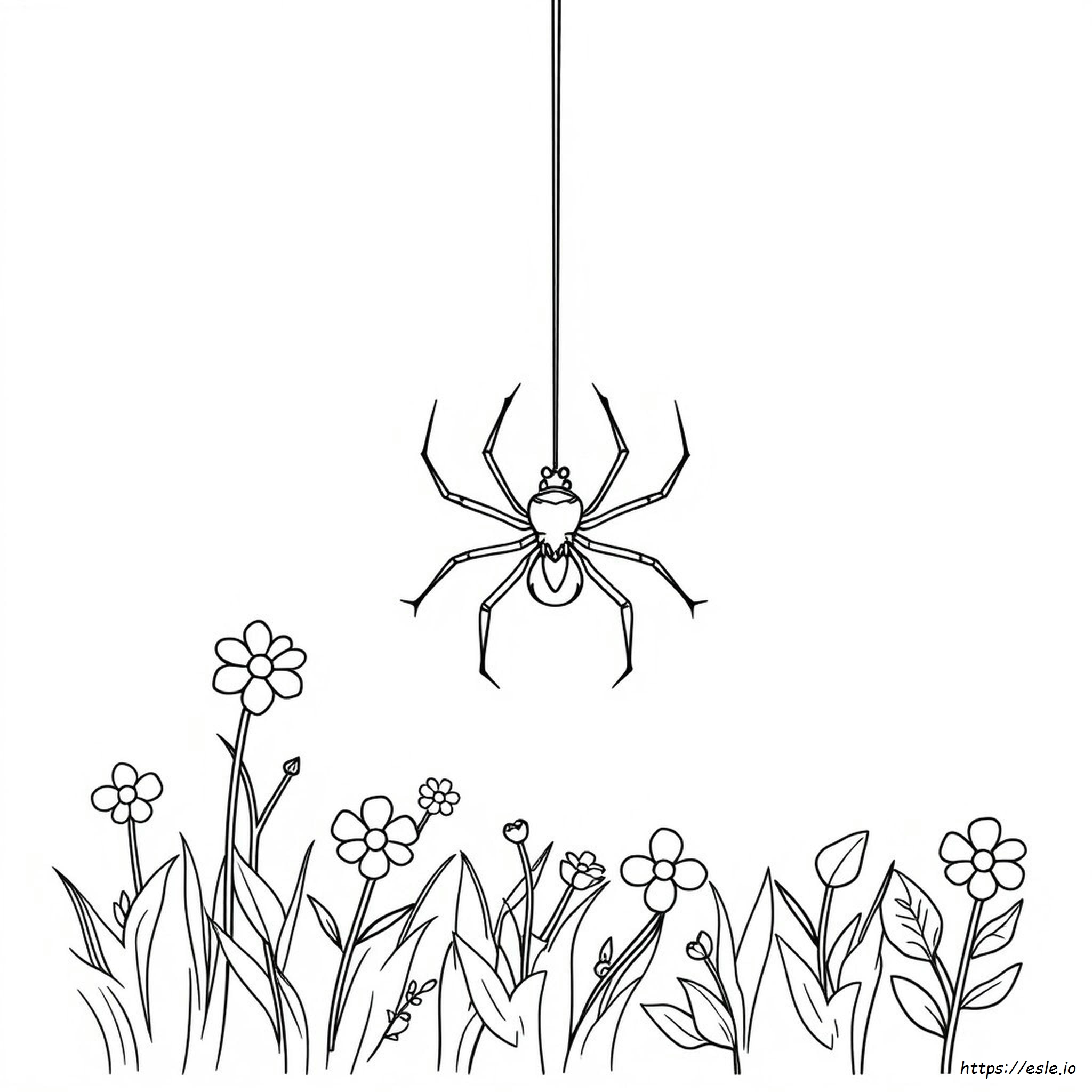 S Is For Spider Coloring Page