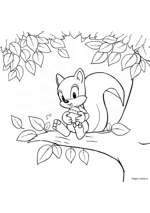 Sonic Coloring Template
