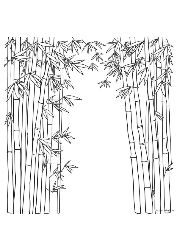 Coloriage Bambou
