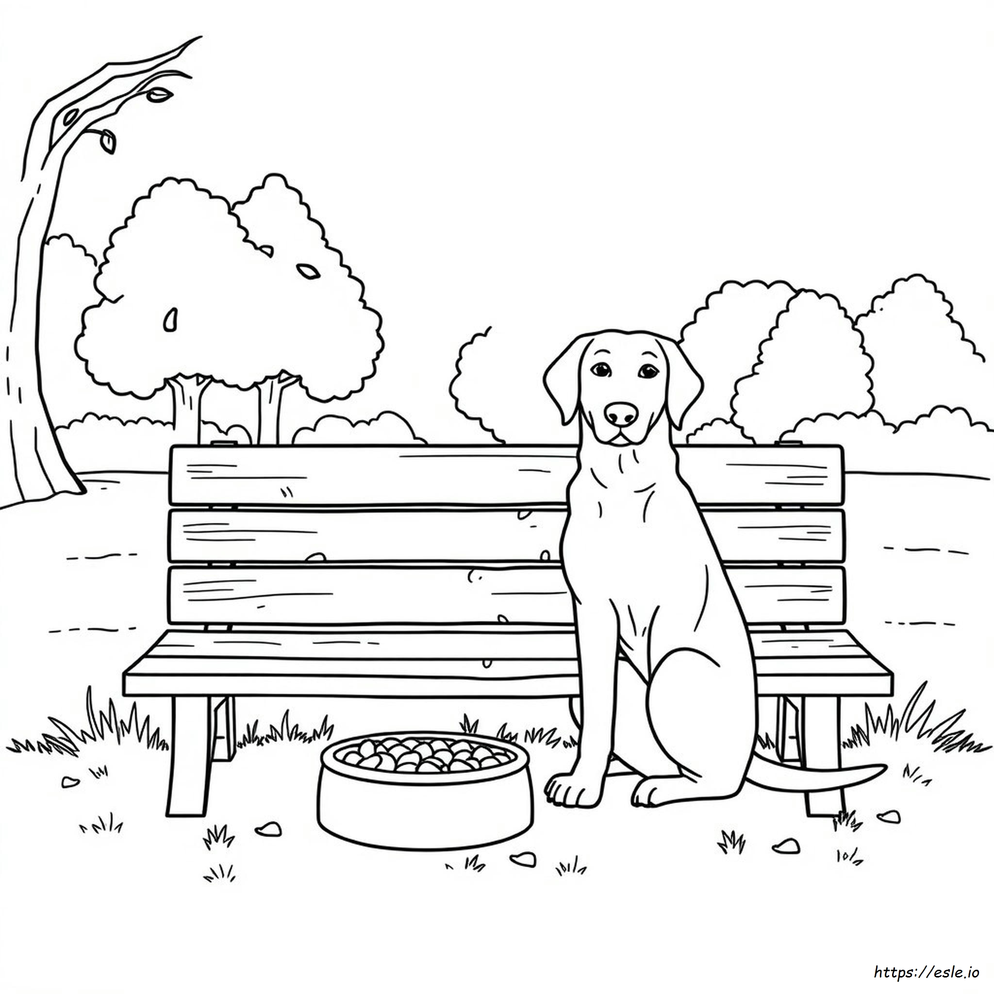 Labrador Ausmalbilder