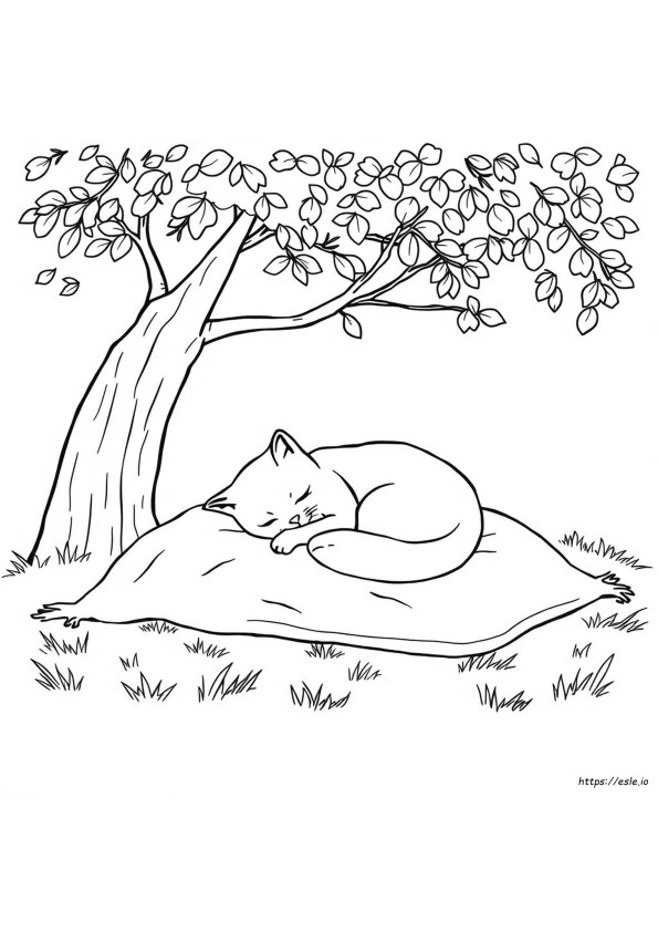 Gato Durmiendo Para Colorear