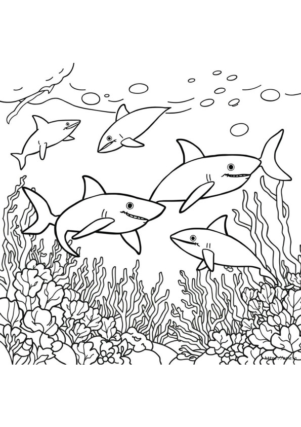 Coloriages Animaux Marins Pour Adultes