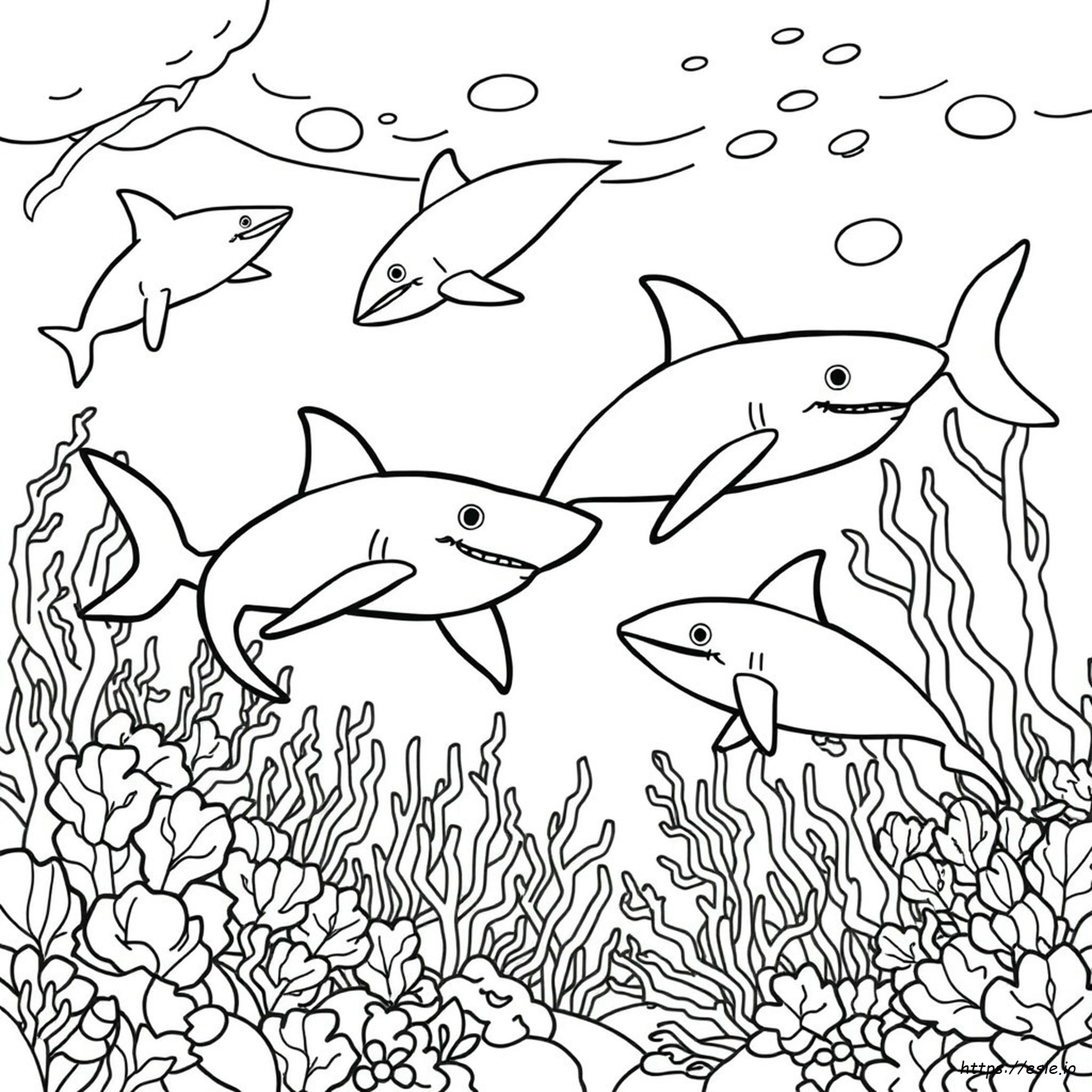 Ocean Animals Coloring Pages For Adults