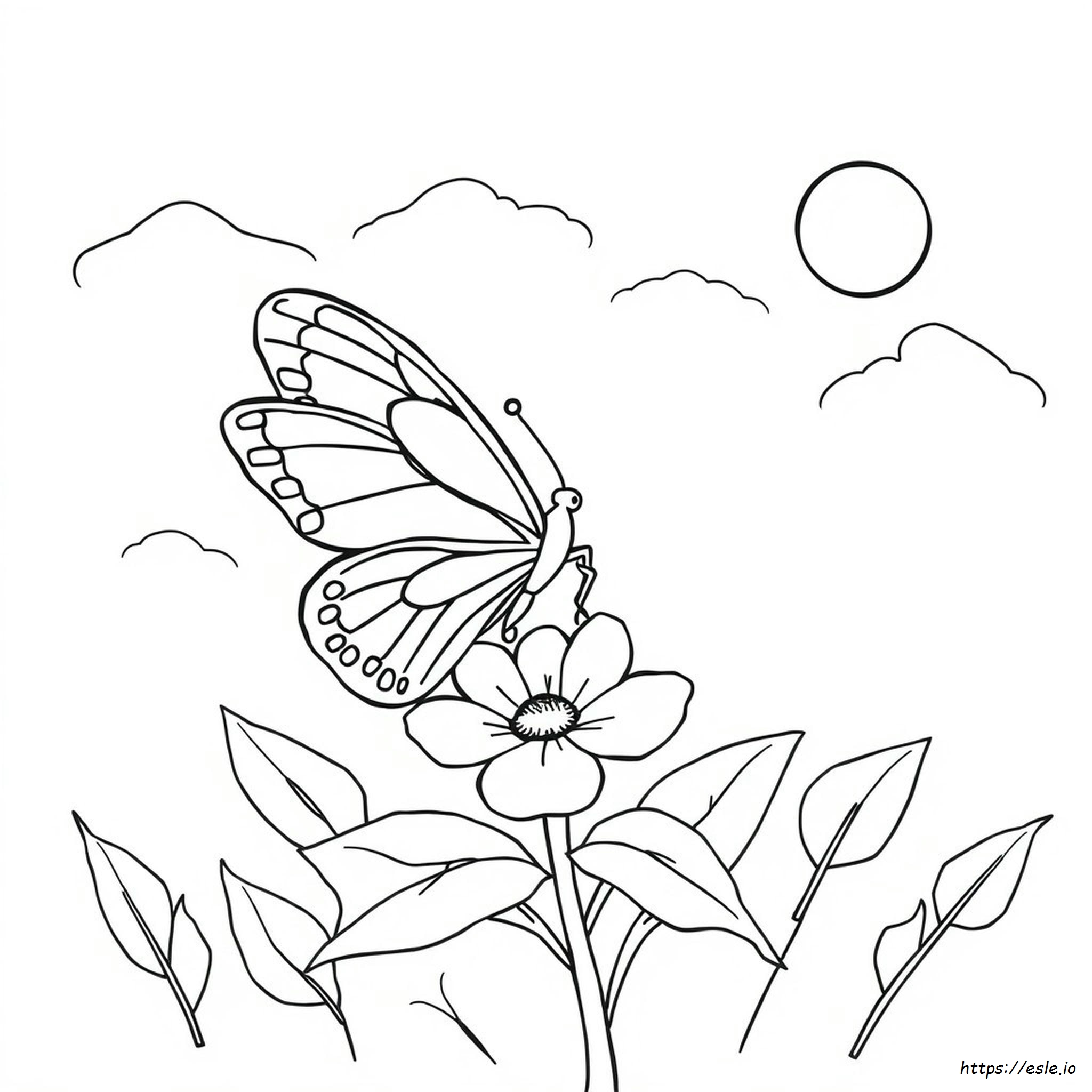 Farfalla Disegno Da Colorare