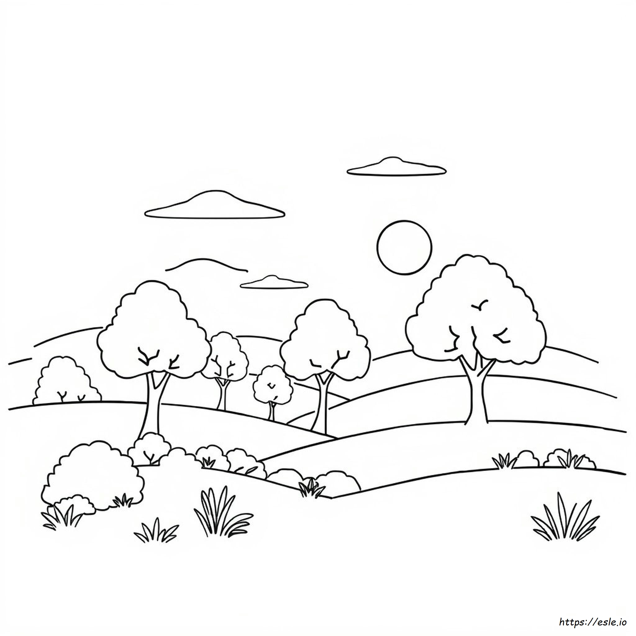 Foto A Libro Para Colorear