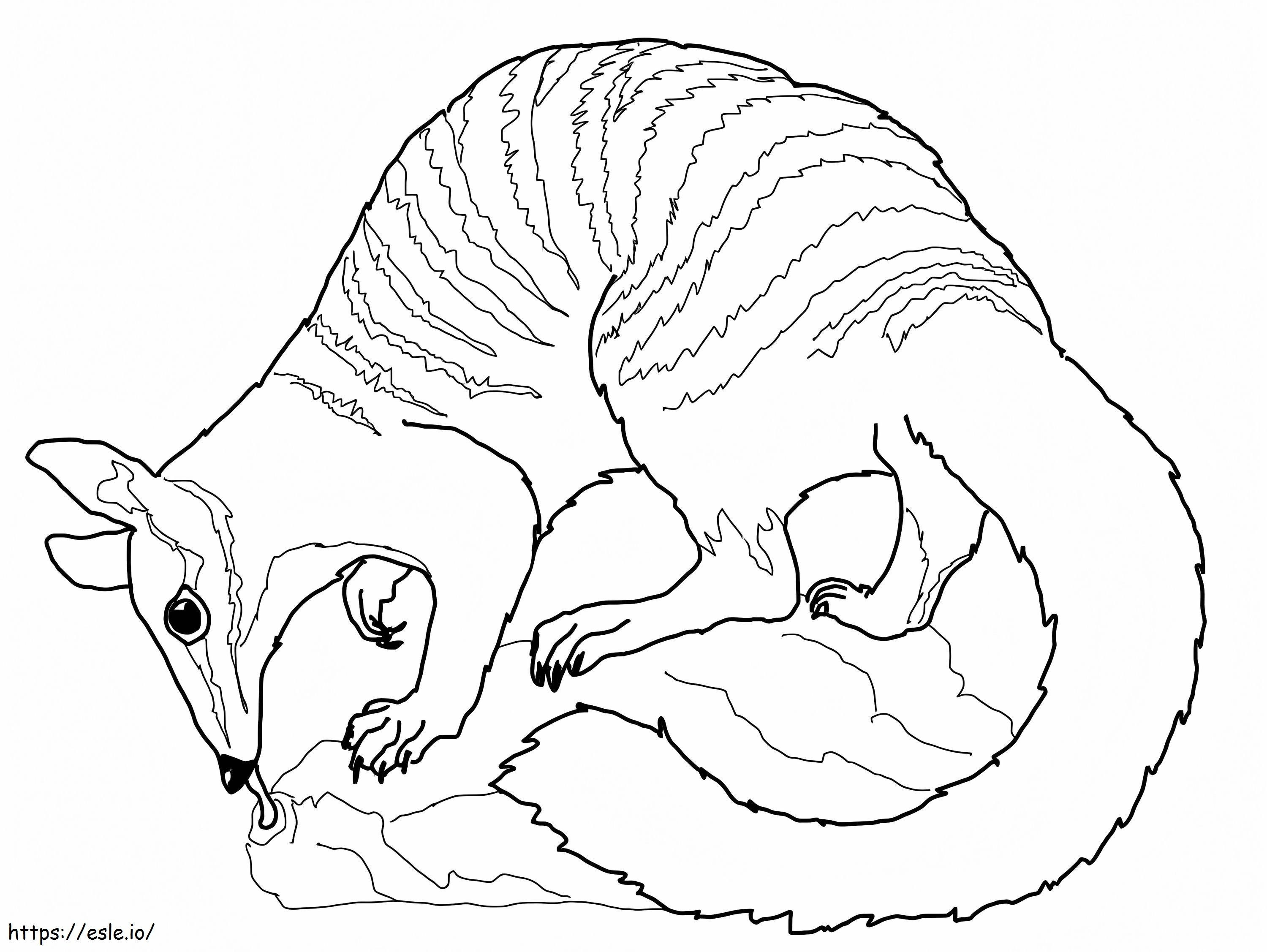 Normal Numbat coloring page