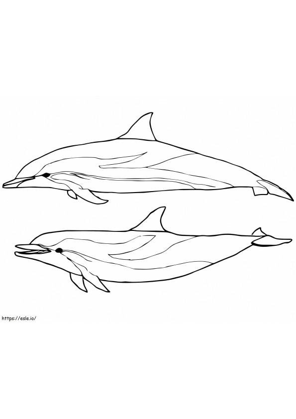Dos delfines listados para colorear