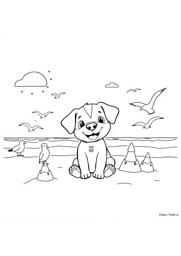 Pucca Coloring Book