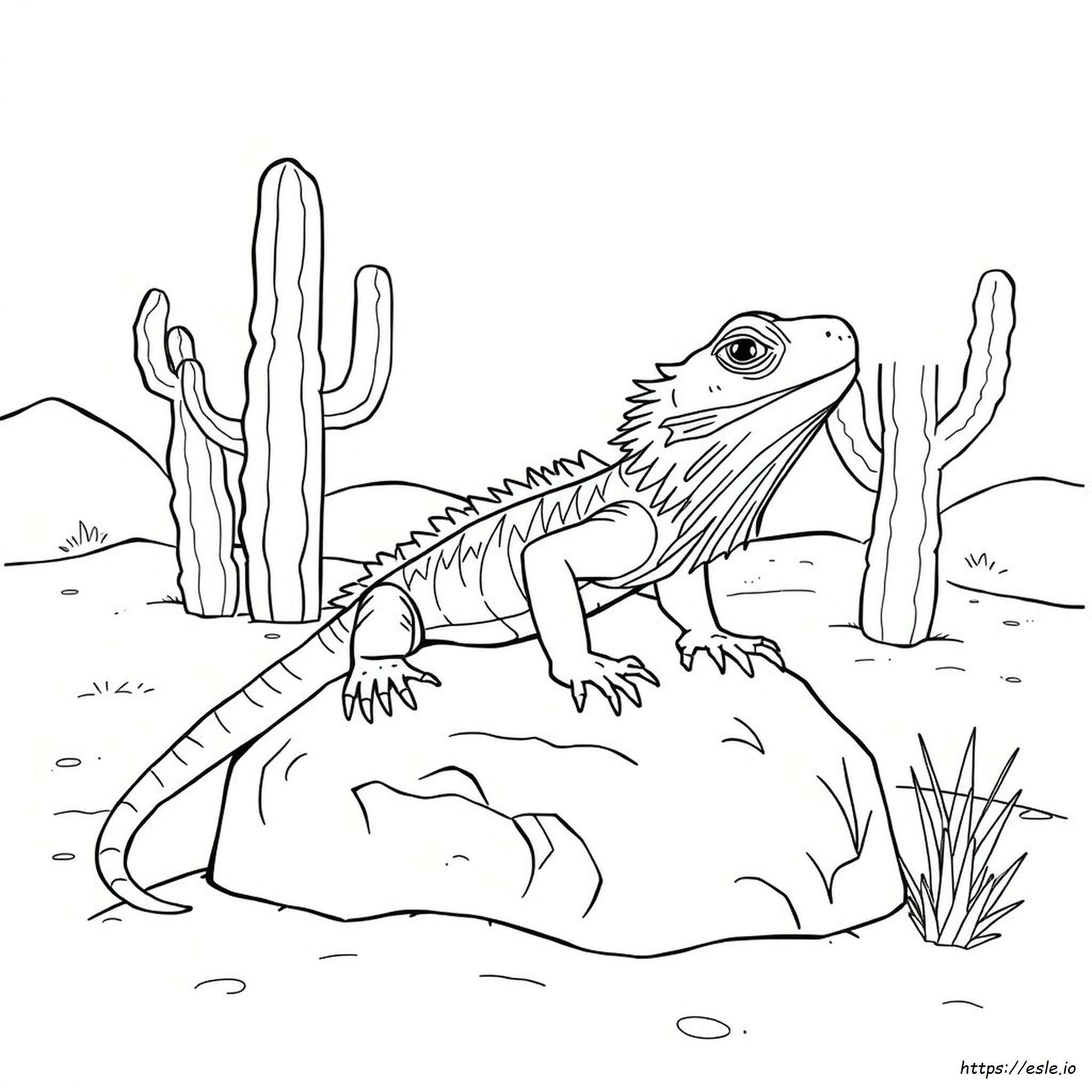 Bearded Dragon Lizard Coloring Pages