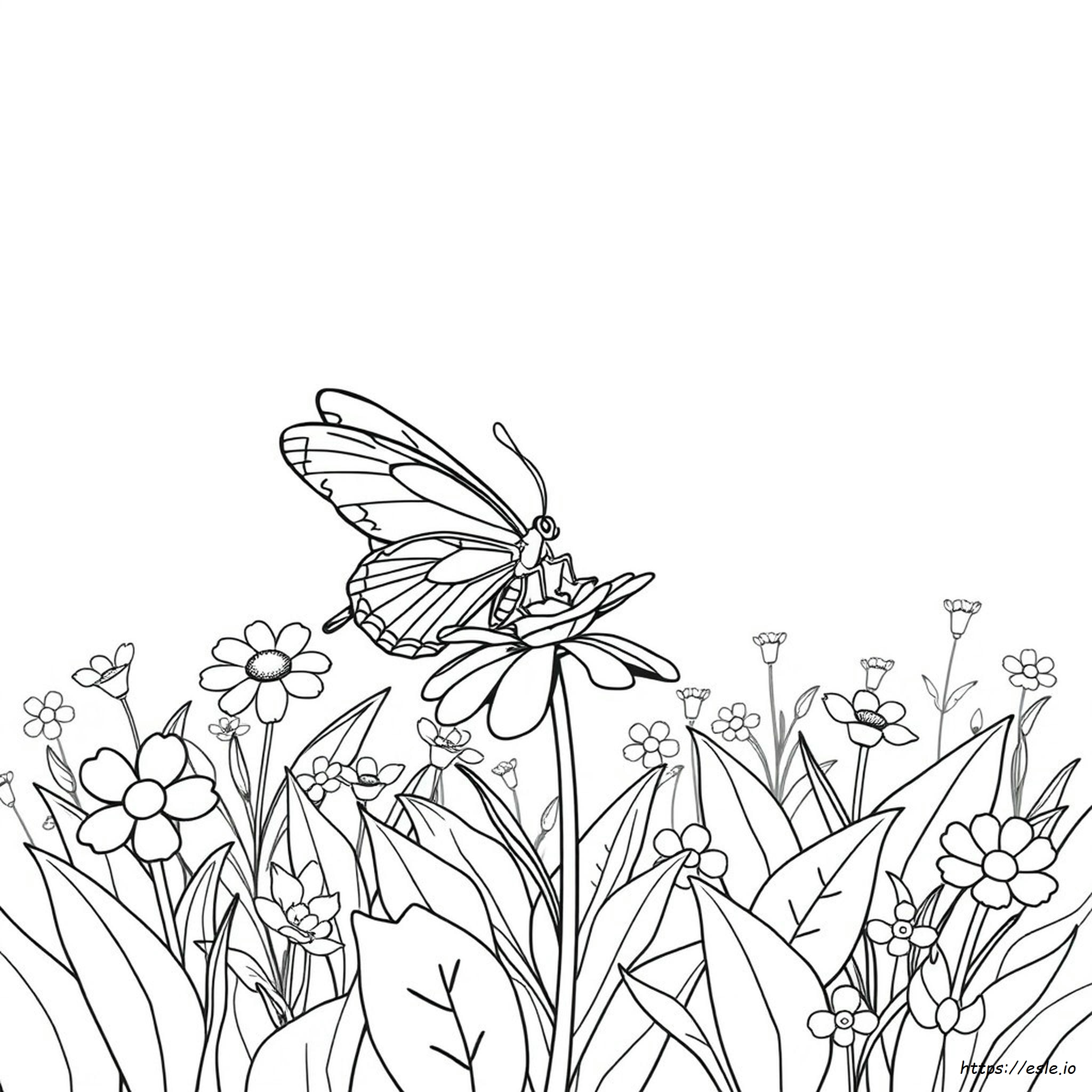 Butterfly Flower Colouring Pages