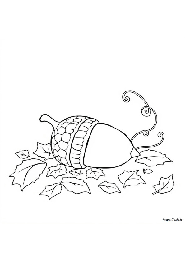 Coloring Picture Of Acorn