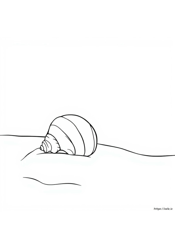 Eenvoudige Schelp Kleurplaat
