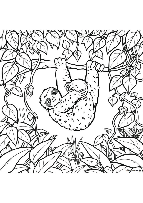 Coloriages De Paresseux Réalistes