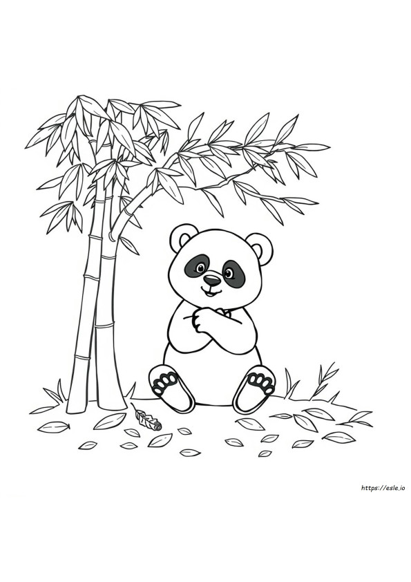 Panda Ausmalbilder