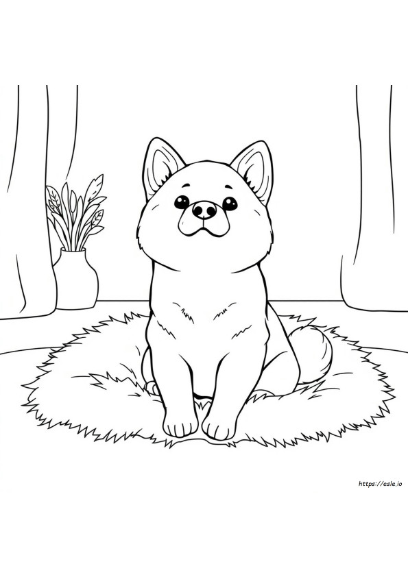 Sevimli Shiba Inu Boyama Sayfası