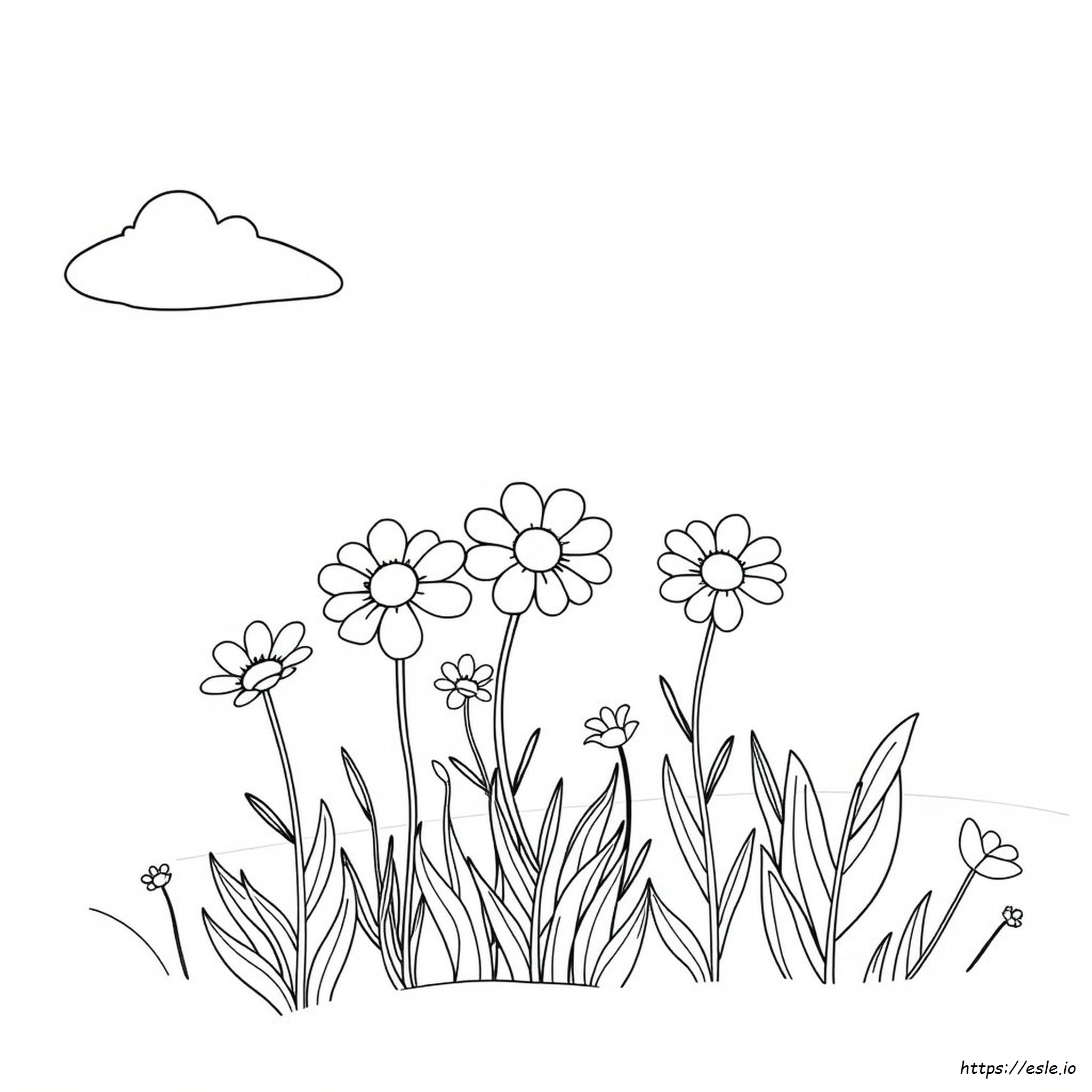 Colouring Pages Designs
