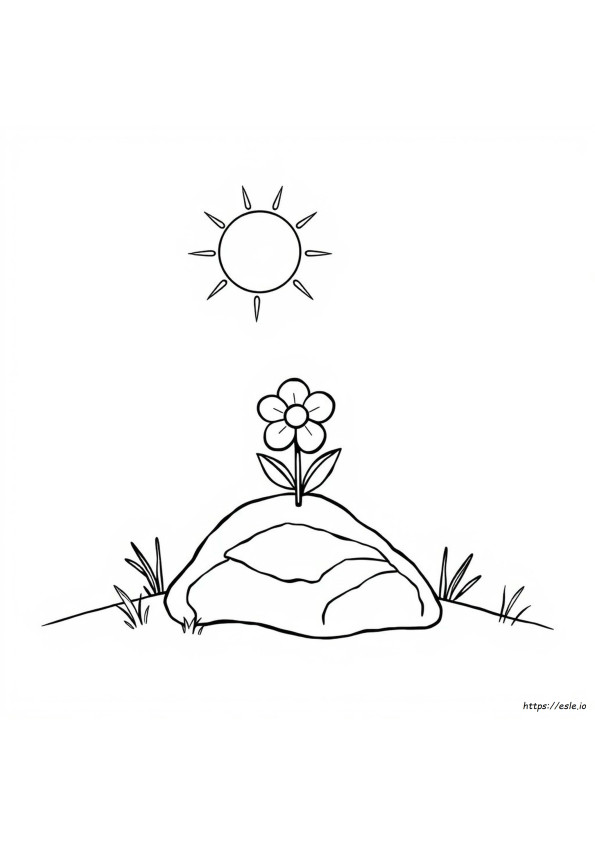 Desenhos Para Colorir Fáceis E Ousados Para Imprimir