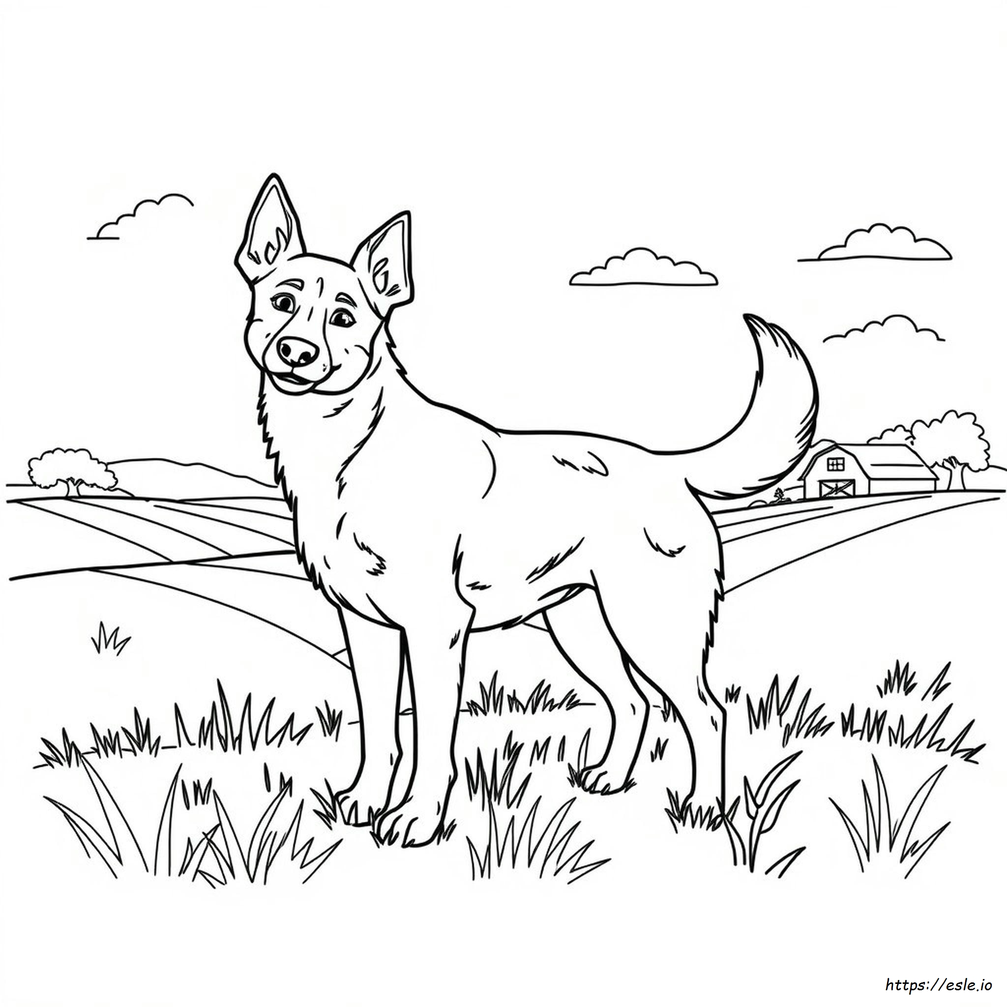 Bingo Heeler Coloring Page