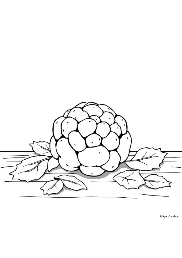 Cauliflower Colouring Pages