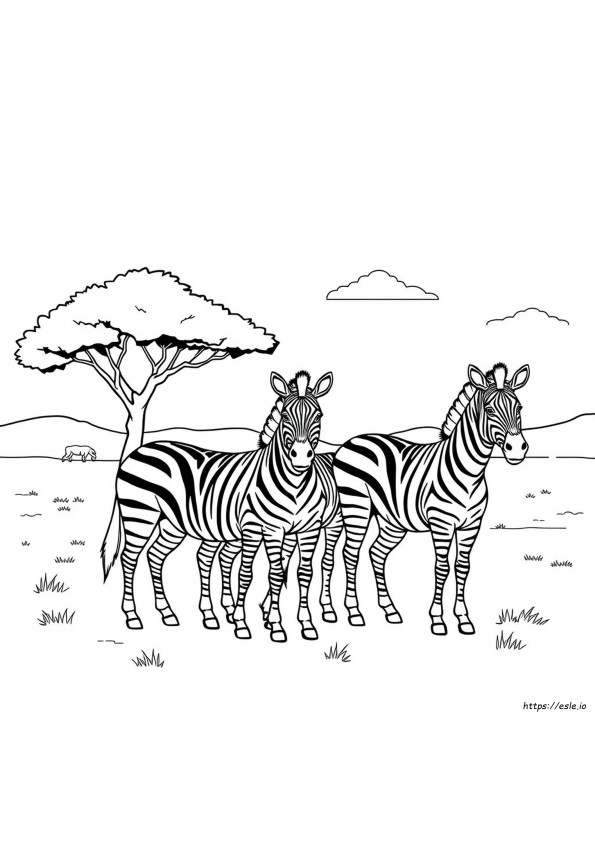 Zebra Boyama Sayfaları