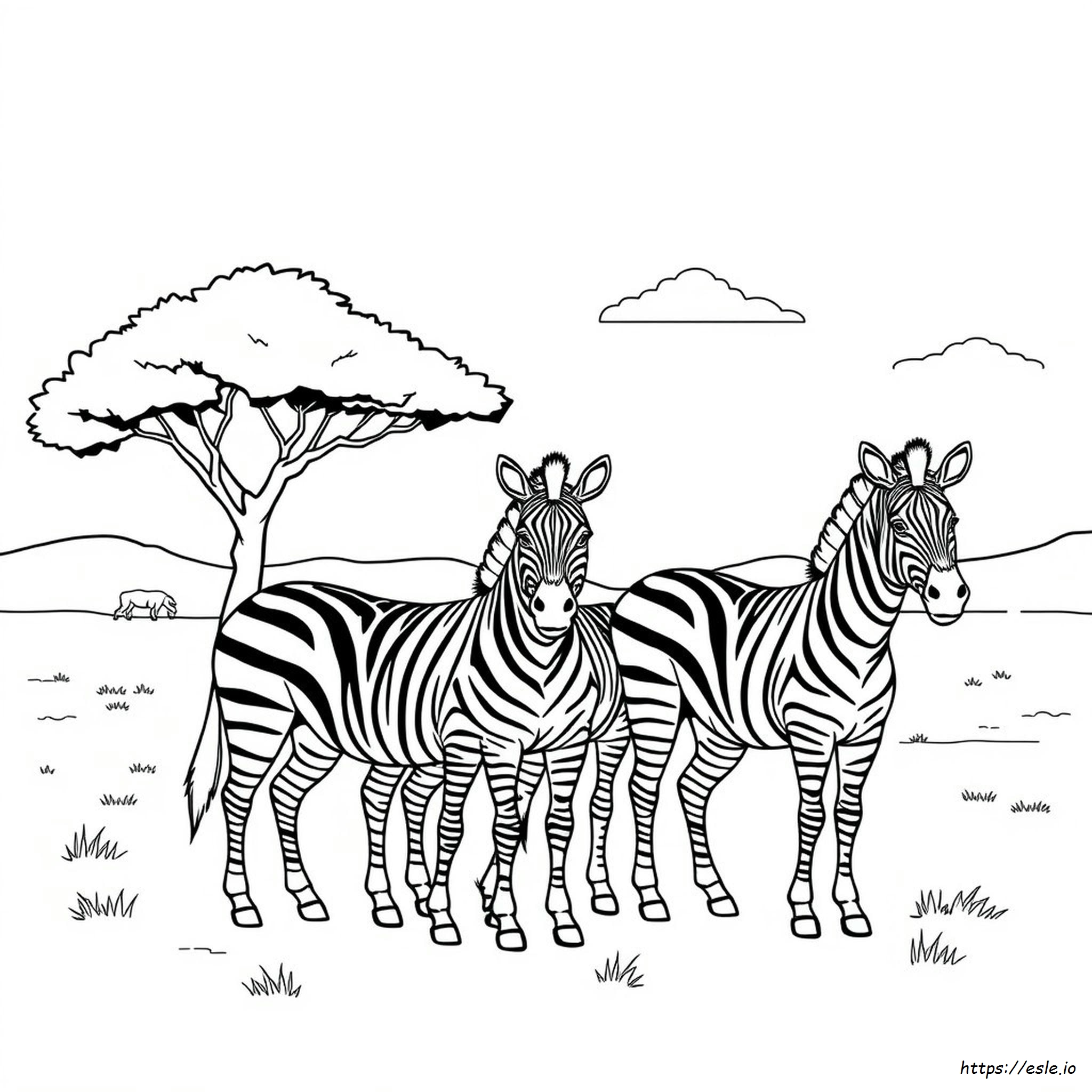 Zebras Ausmalbilder