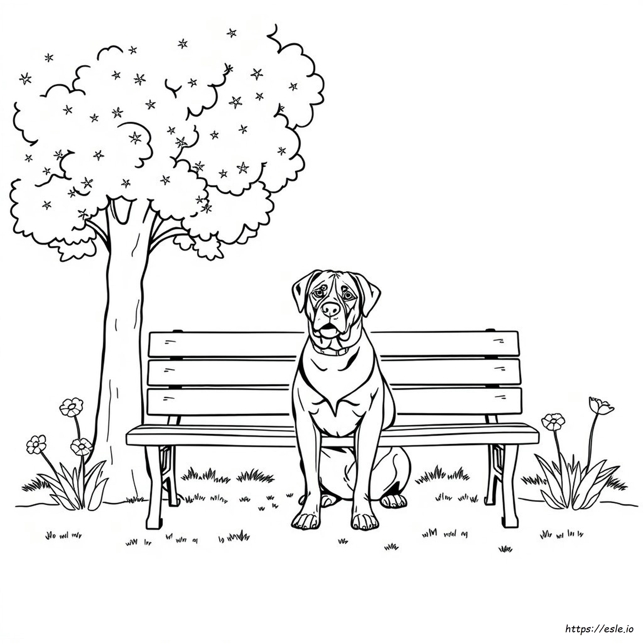 Coloriage Rottweiler