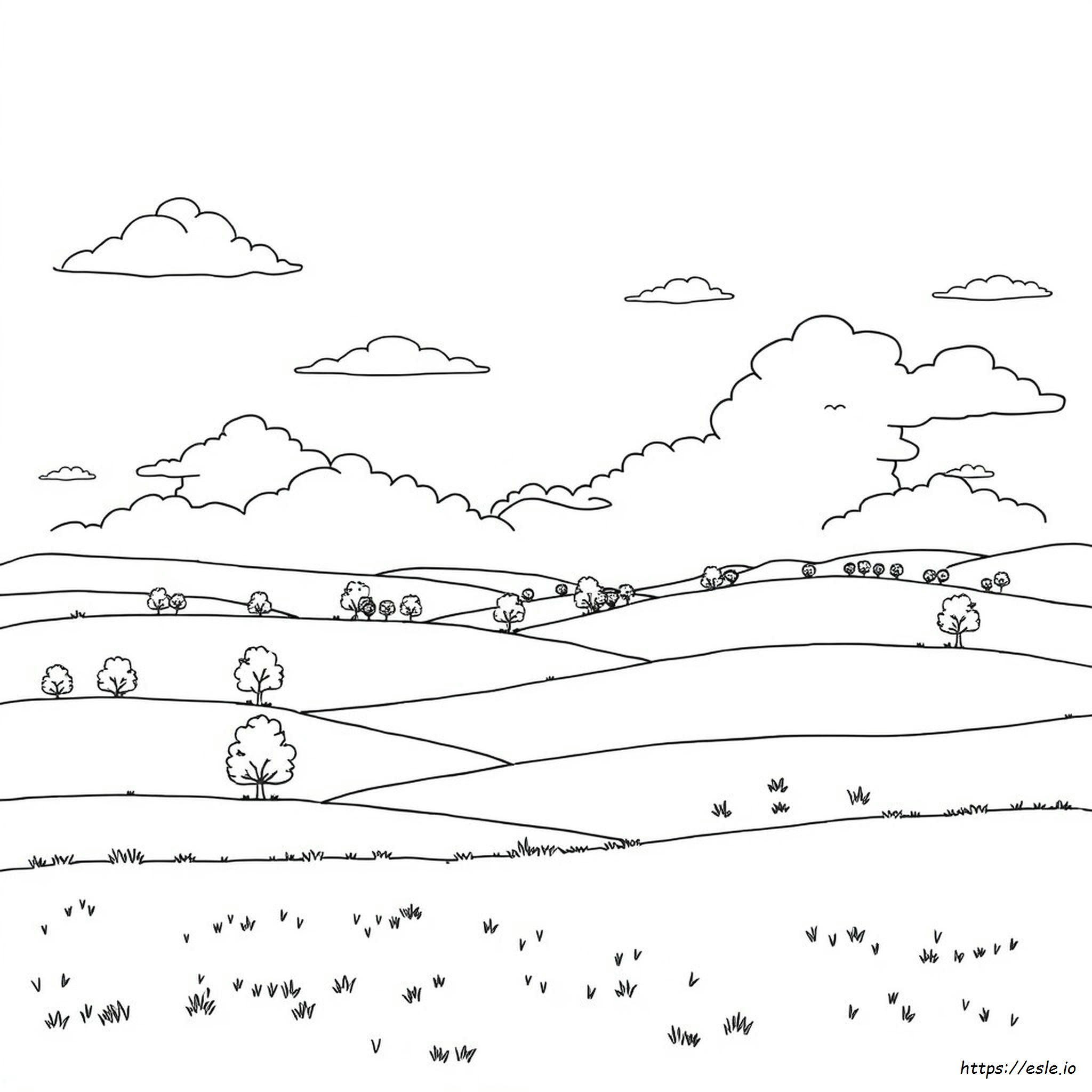 Big Picture Coloring Books