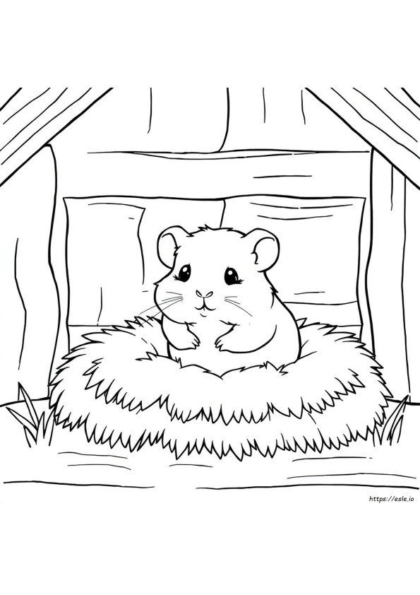 Dapat Dicetak Gratis Gambar Mewarnai Hamster Lucu Yang Menggemaskan