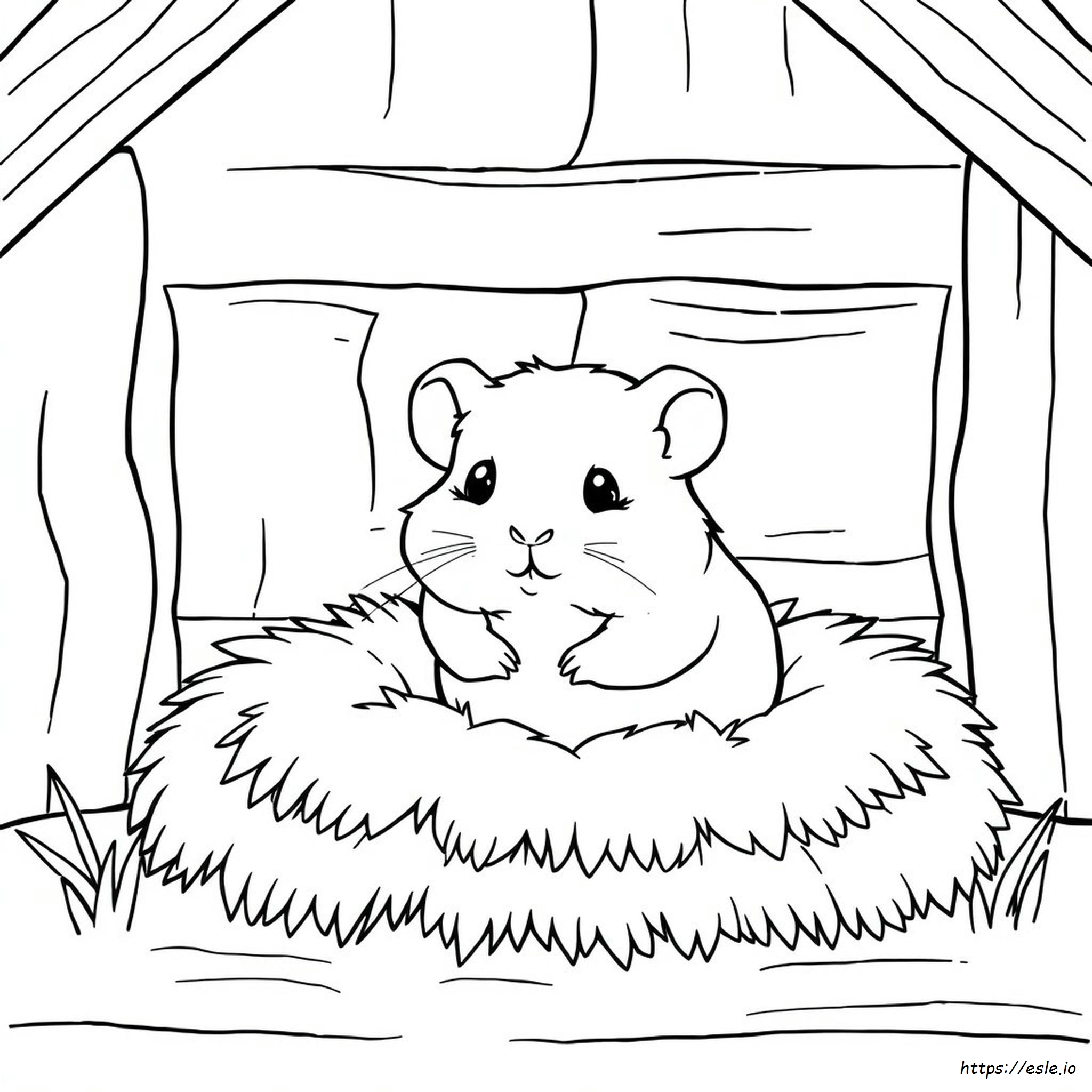 Adorable Cute Hamster Coloring Pages