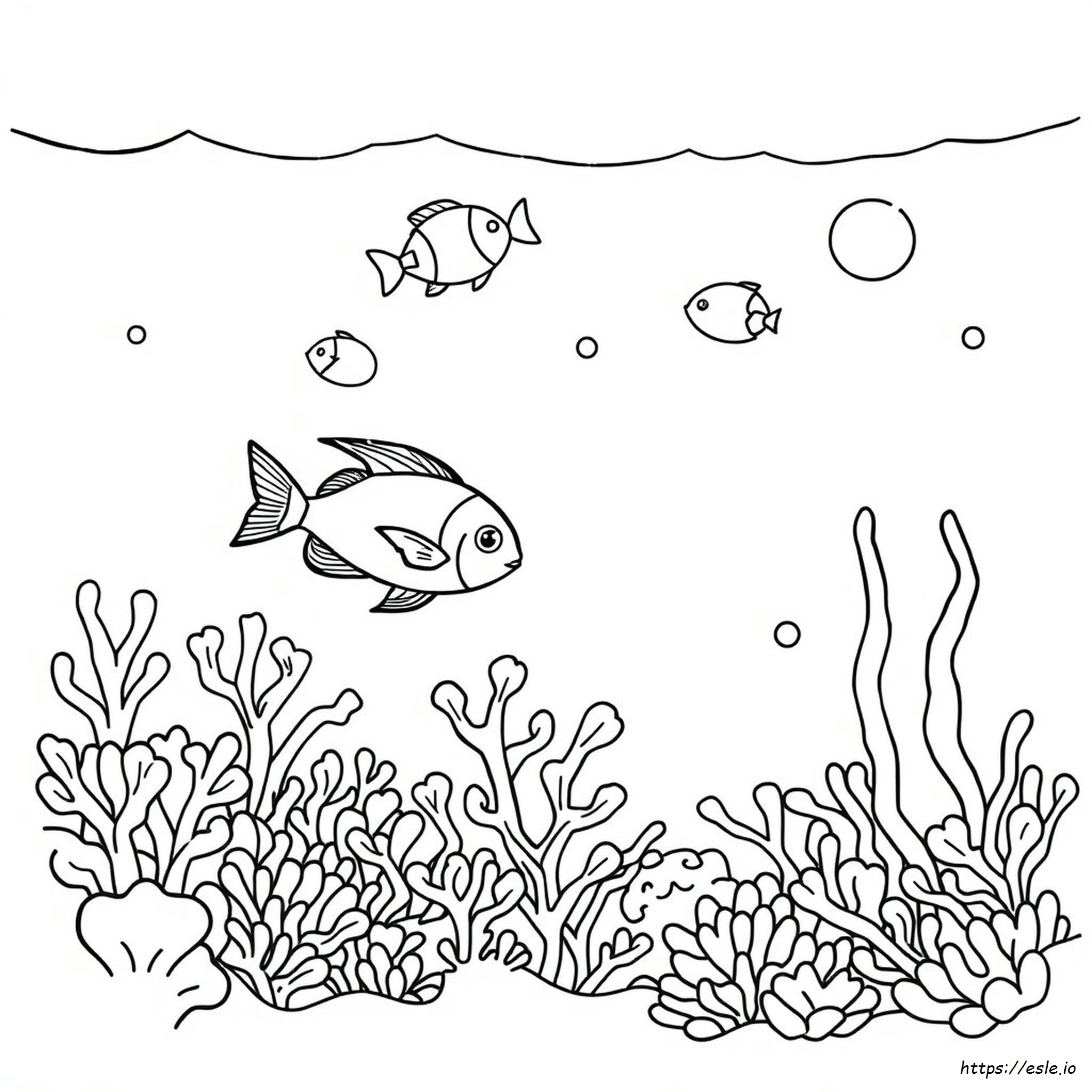 Ocean Coloring Pages For Kindergarten