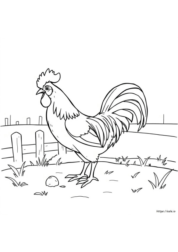 Desenho De Galo Para Colorir
