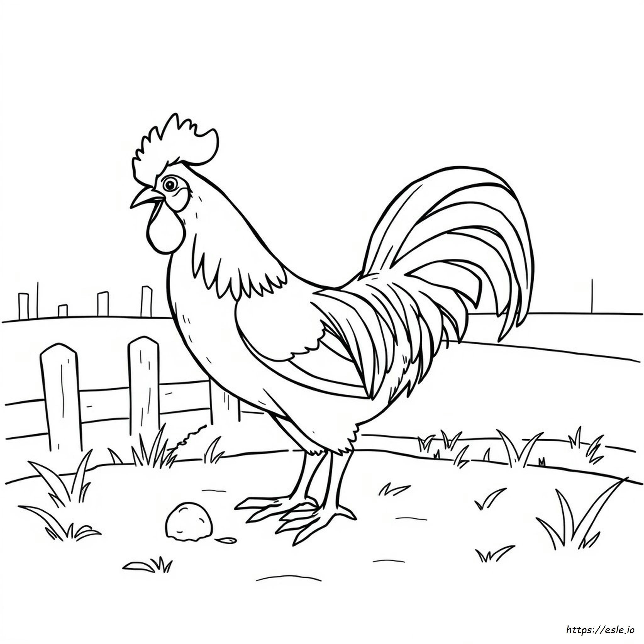 Gallo Da Colorare