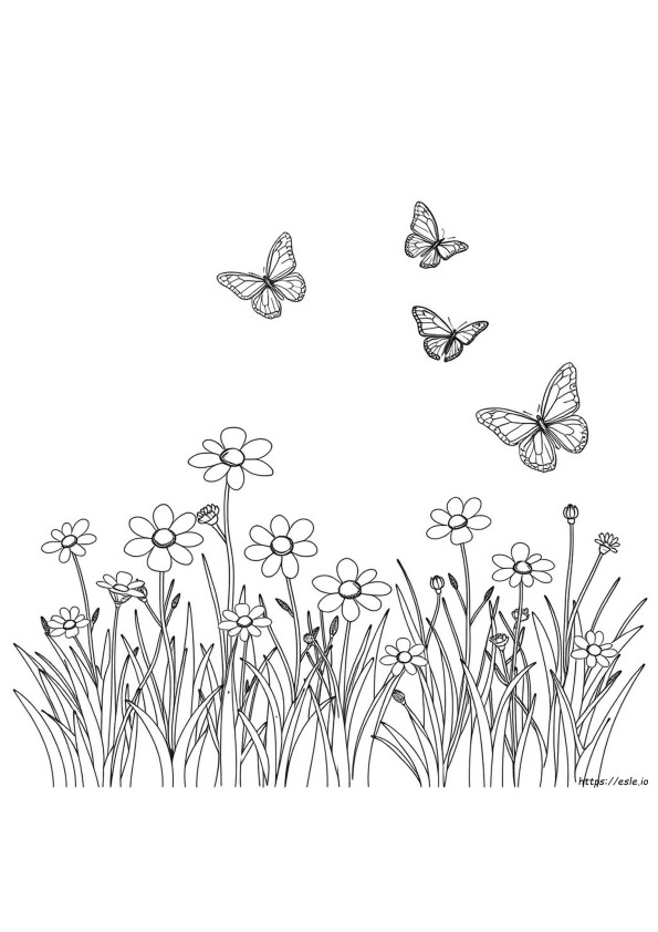 Le Livre De Coloriage De La Sélection