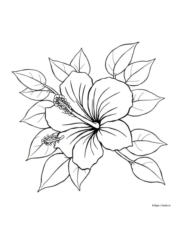 Easy Hibiscus Coloring Page