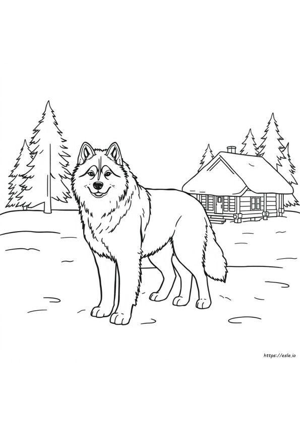 アラスカンマラミュート 塗り絵 無料