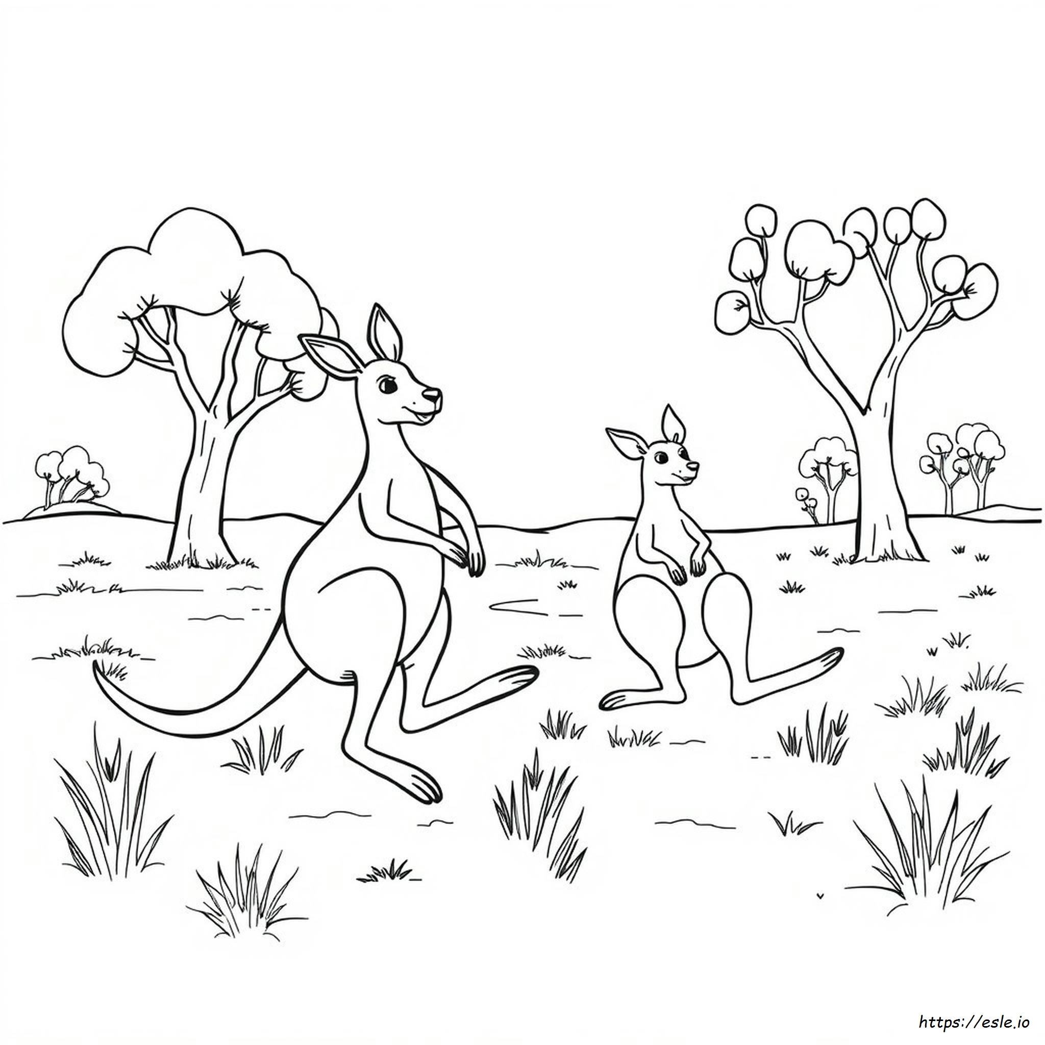 Printable Australian Animals Colouring In