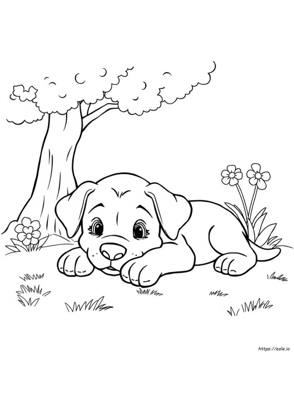 Free Puppy Coloring Pictures