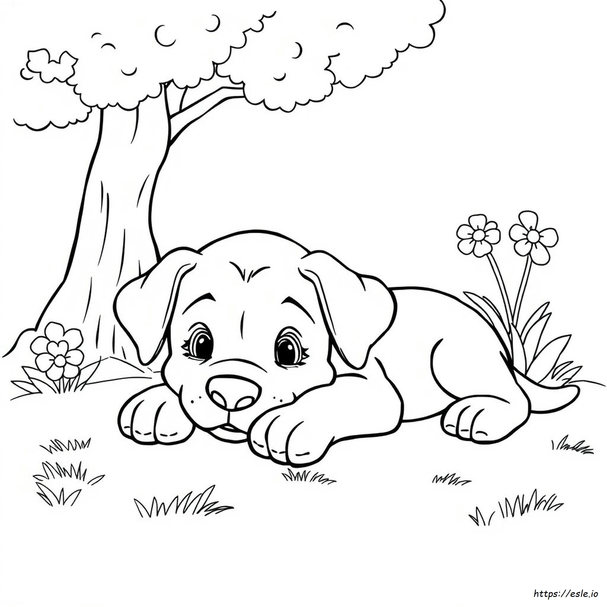 Free Puppy Coloring Pictures