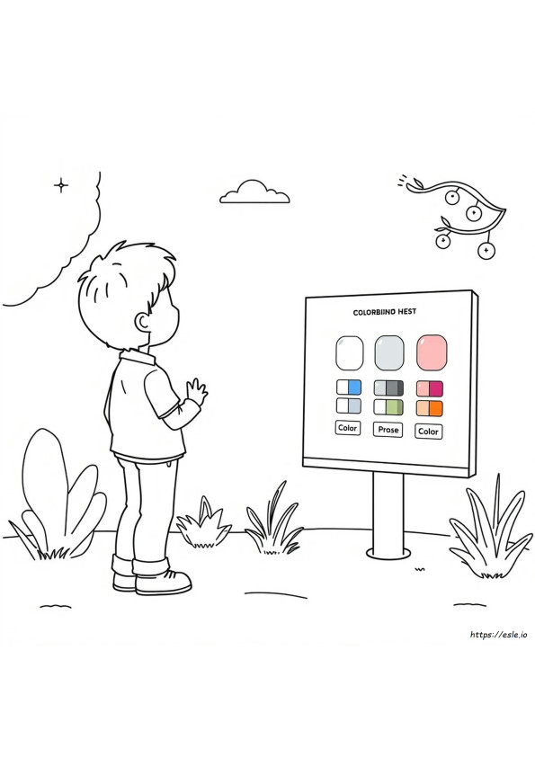 Test De Daltonisme Enchroma