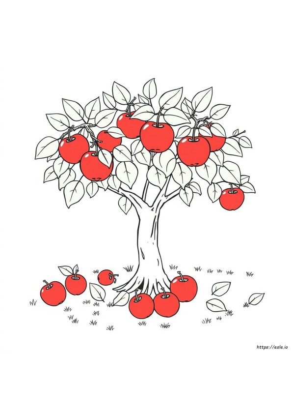 Apple Sketch For Colouring